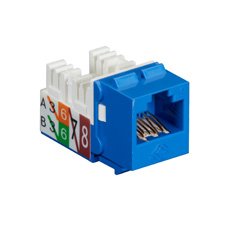 Black Box Network Services Gigatrue2 Cat6 Jack Universal Wiring C