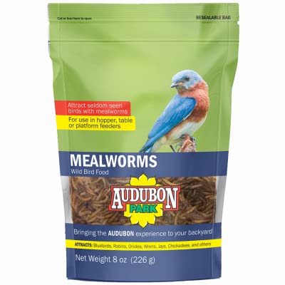 Audubon Park Mealworms Wild Bird Food 8 oz, 8-Pack