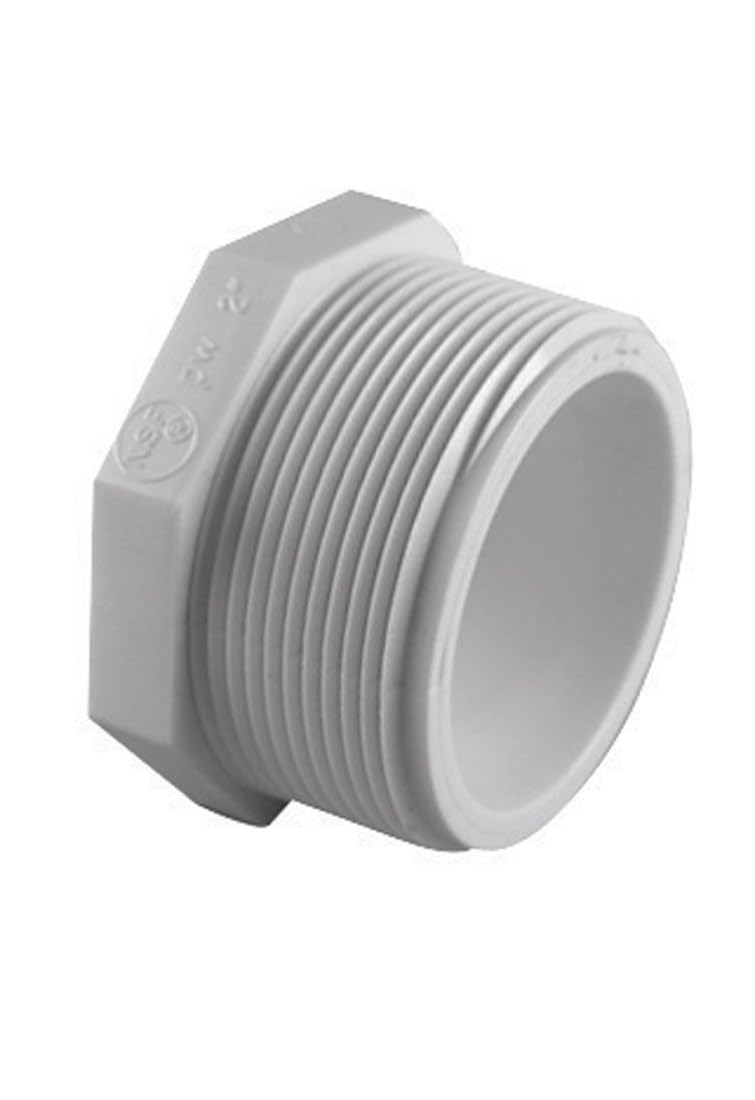 CHARLOTTE PLUG SCH40 PVC 1" MP