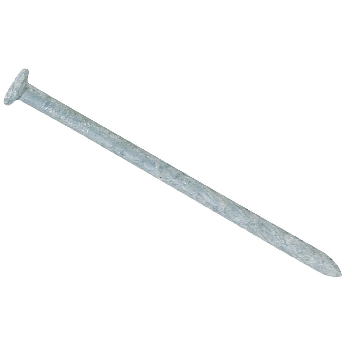 MAZE NAILS T447S-5 Double Dipped Spiral Shank Pressure Treated Lumber Nail, 5-Pound 8D 2-1/2-Inch