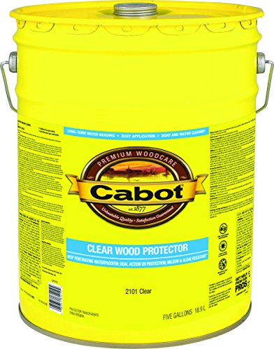 CABOT CLR WD PROTCTR 1GL