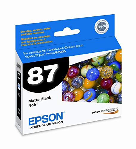 Epson Stylus R1900 Matte Black Ink Cartridge T087820