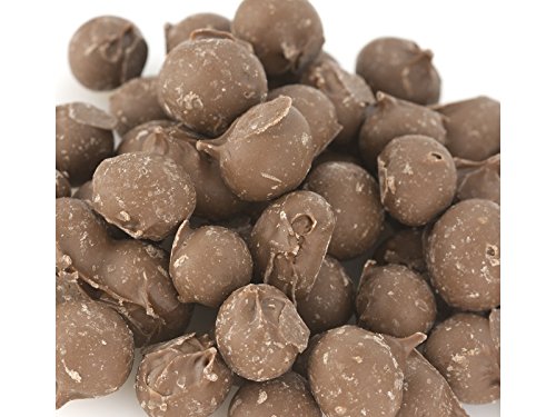 Bulk Double Dipped Milk Chocolate Peanuts 1 lb