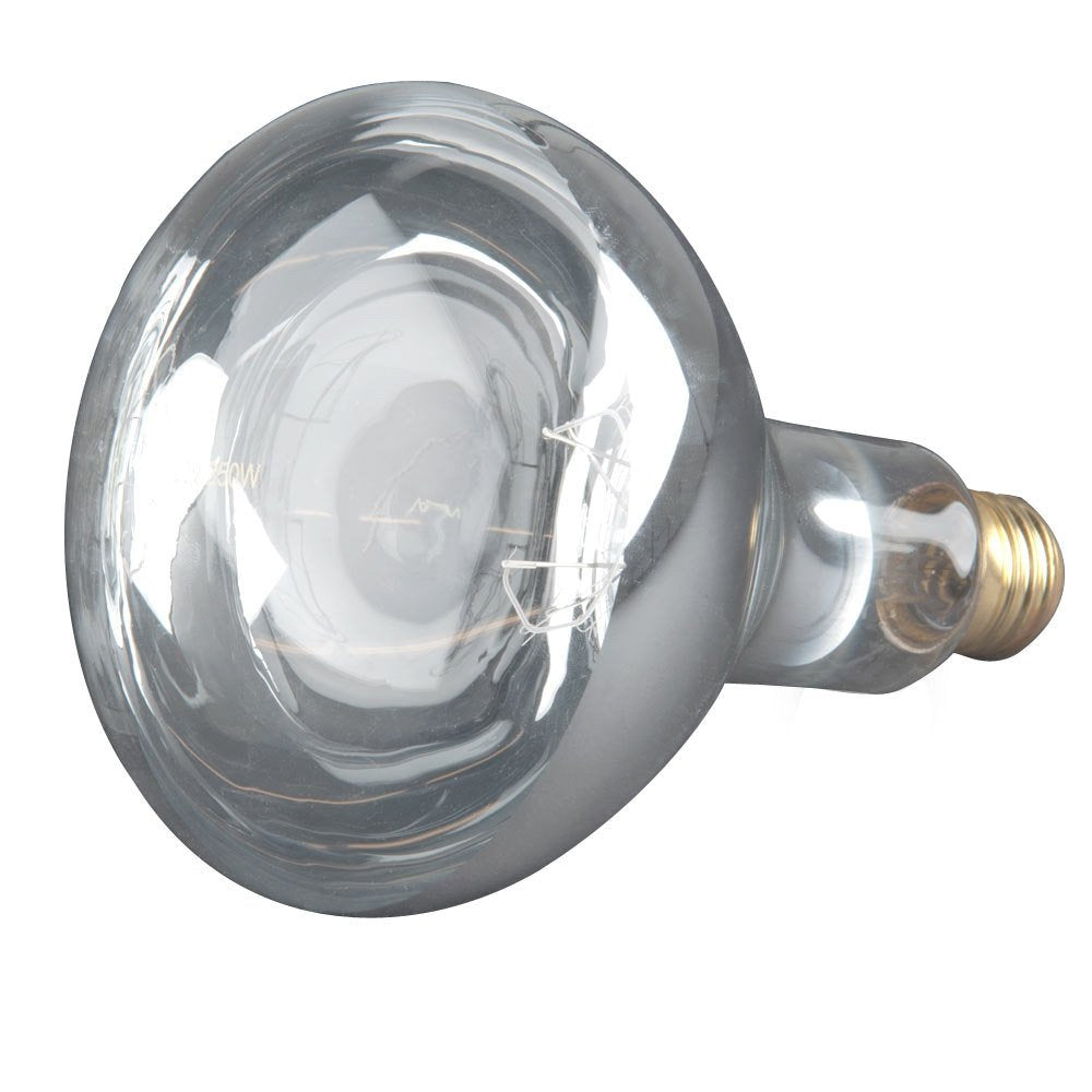 GE R40 Heat Lamp Bulb 250W Medium Base