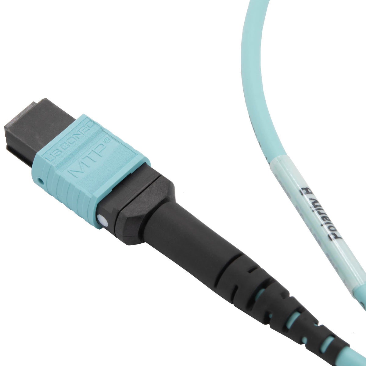 CableWholesale OM3 12-Strand Fiber Optic Cable 50m