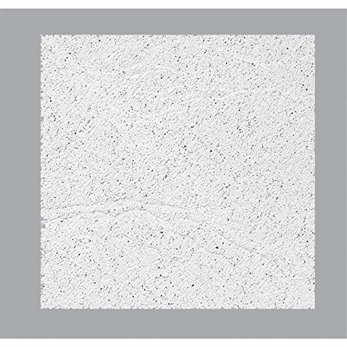 USG Sandrift Ceiling Panel 2'x2'