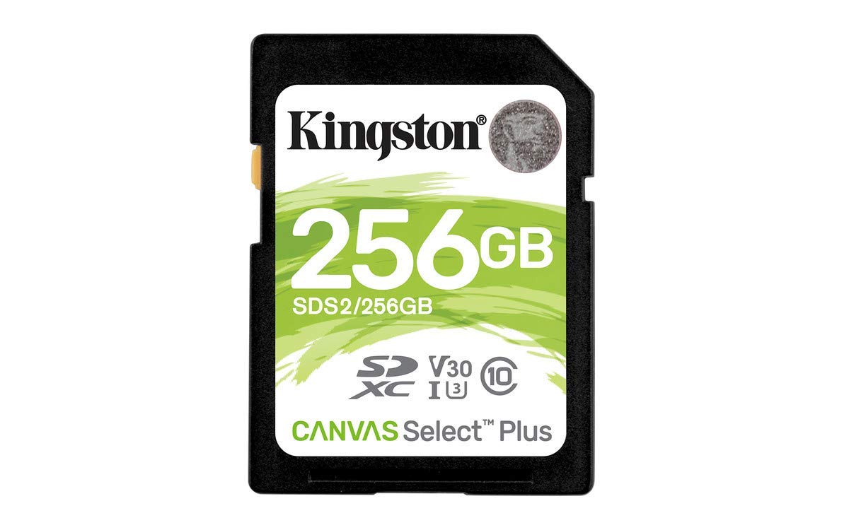 Kingston 256 GB SDXC Class 10 Flash Memory Card SDS2 Memory