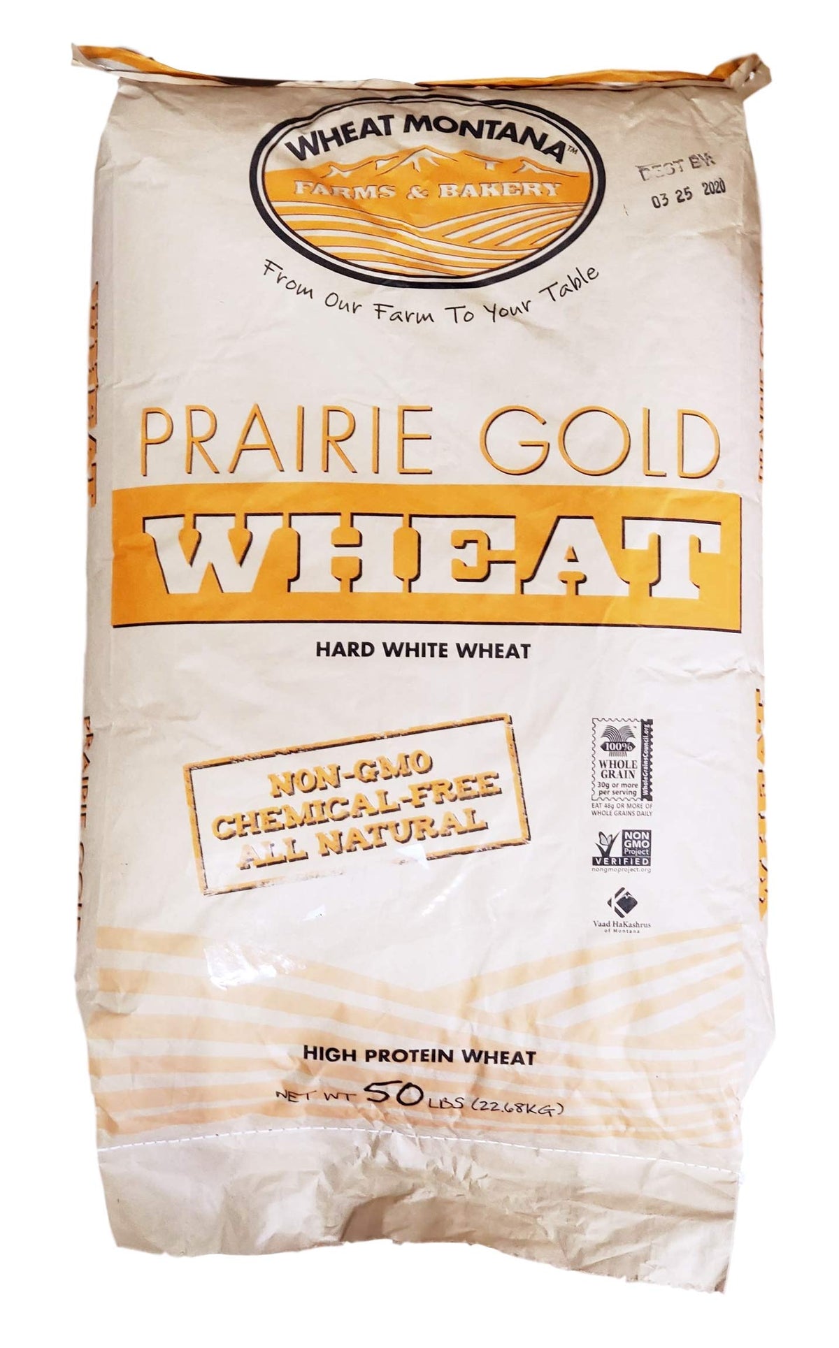 Wheat Prairie Gold (86) Kernel