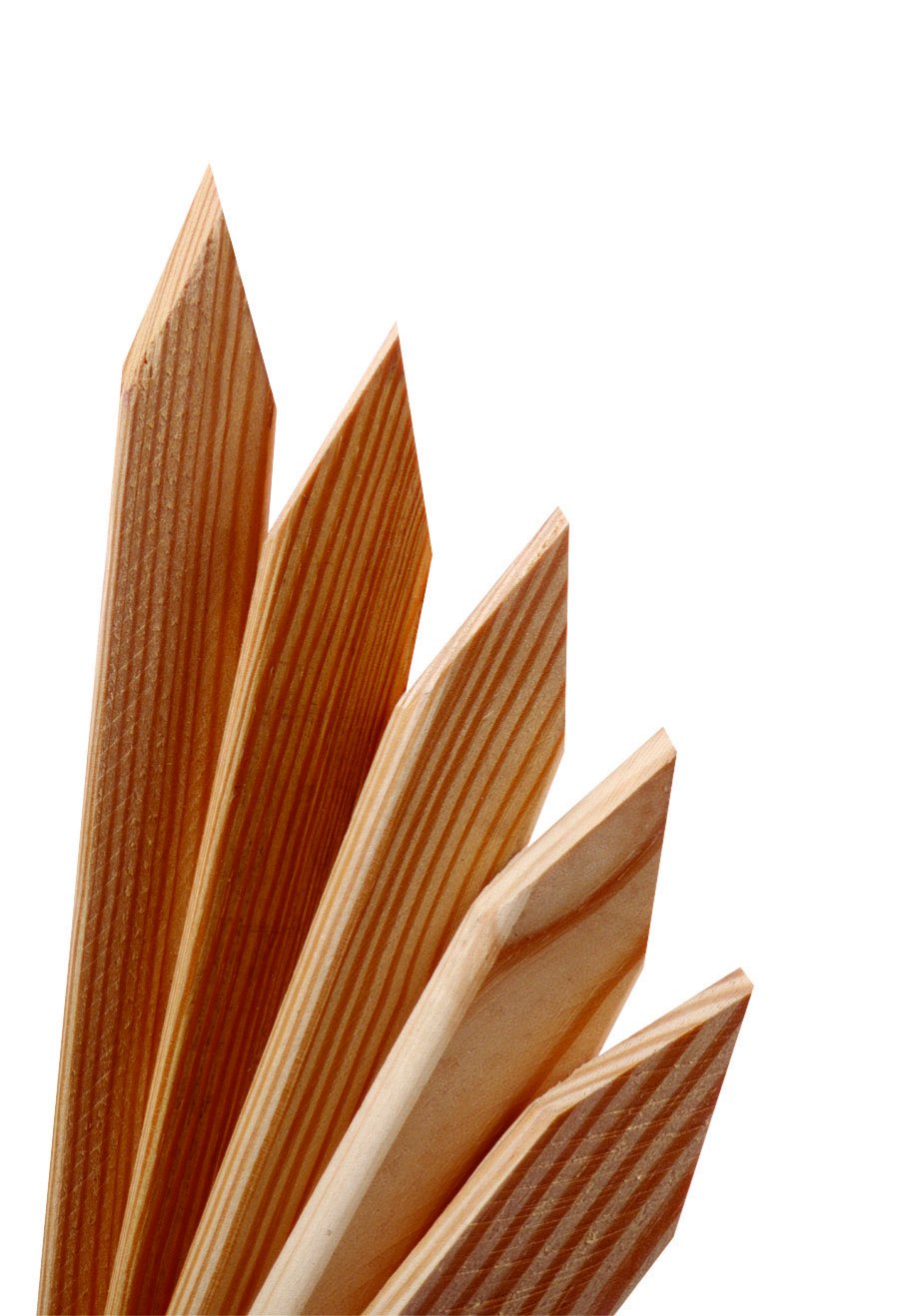 Universal Forest Grade Stake 1x2x48 in