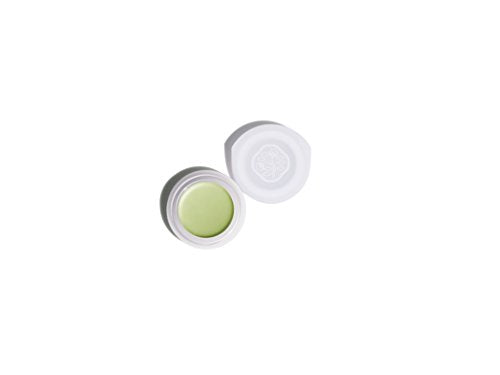 Shiseido Paperlight Cream Eye Color GR302 0.21 oz