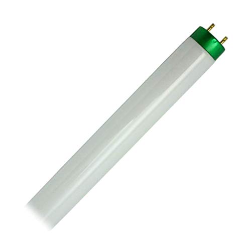 Philips T8 High CRI lamps feat