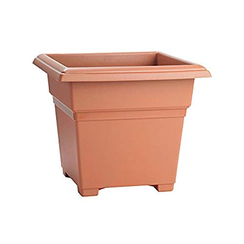 NOVELTY COUNTRYSIDE TUB PLANTE