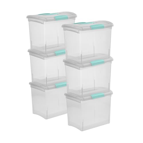 Sterilite Large Nesting ShowOffs 6-Pack