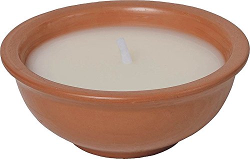 Seasonal Trends Cotta Candle Y2646/Y2404