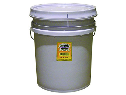 Dutch Clover Honey 60 lbs