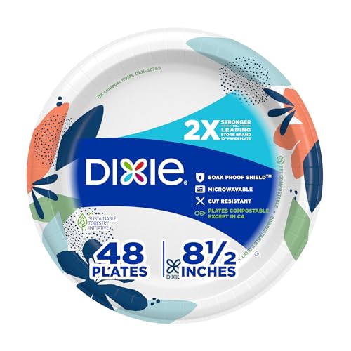 DIXIE 8.5 INCH PAPER PLATES, 4