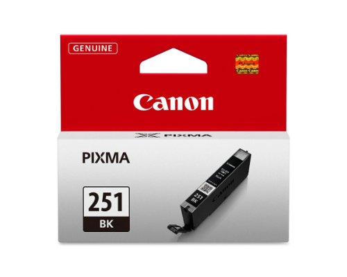 Canon OEM Ink 6513B001 (Black) (1 Each) (6513B001) -