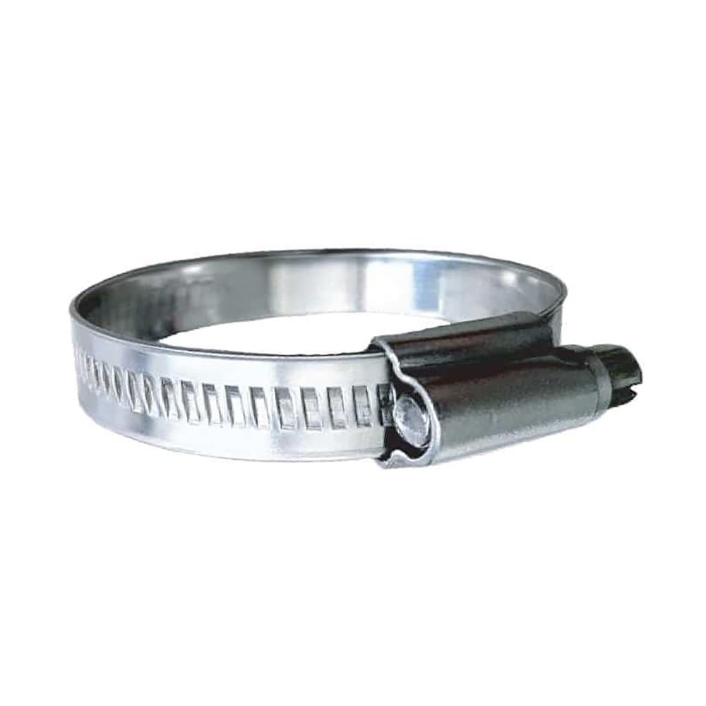 Trident 316 SS Hose Clamp SAE 10 10-Pack