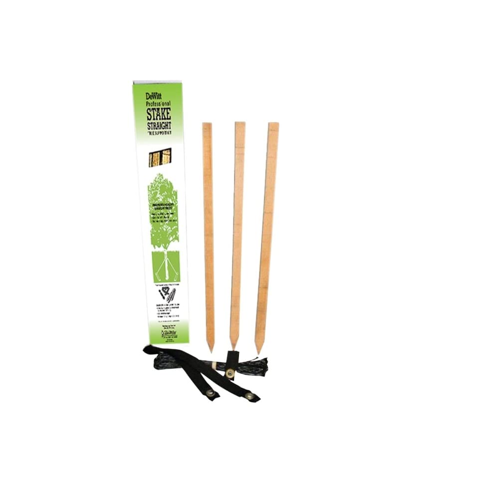 DeWitt Professional Wooden Tree Stake Kit 32 Inch
