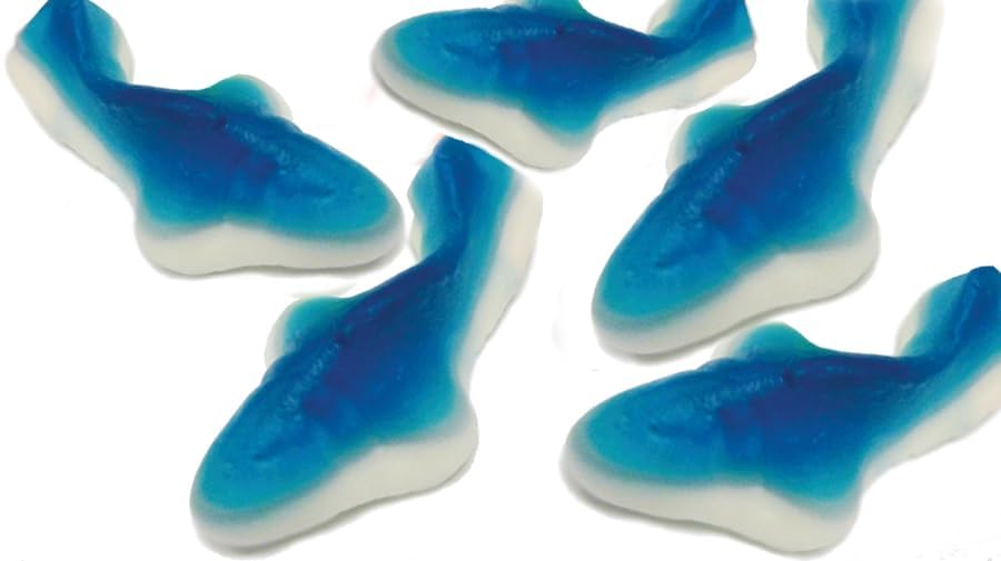 Sunrise Blue Sharks Gummy Candy Blue Raspberry