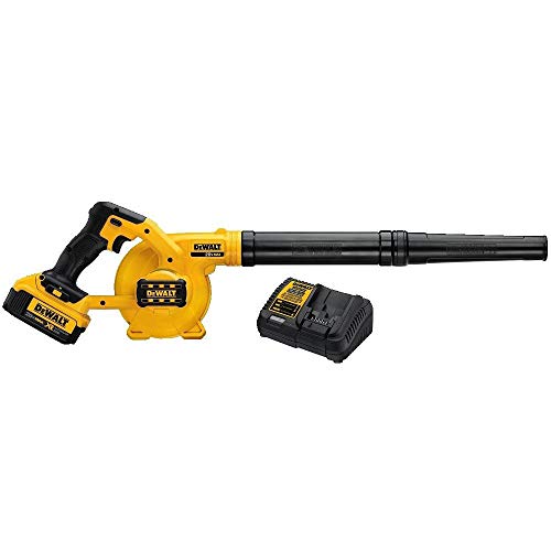 DEWALT 20V MAX Lithium-Ion Cordless Tool