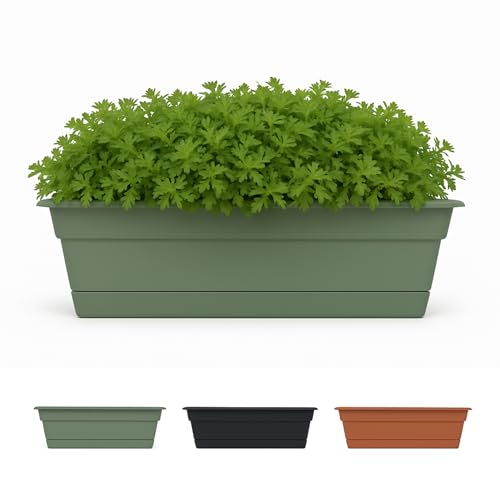 BLOEM WNDW BX PLST BASIL 18"