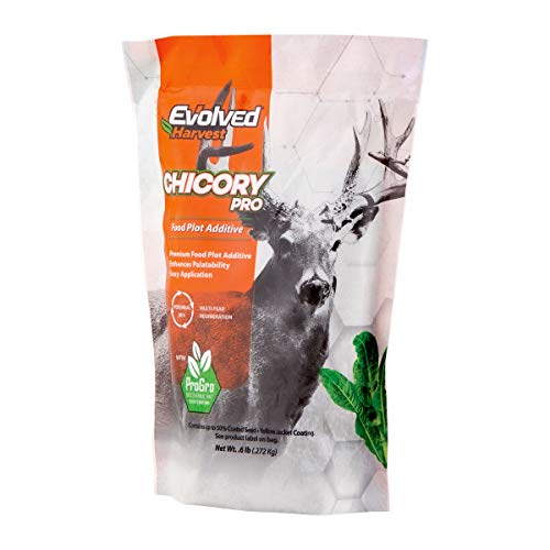 GSM FOOD PLOT MIXER CHICORY 1L