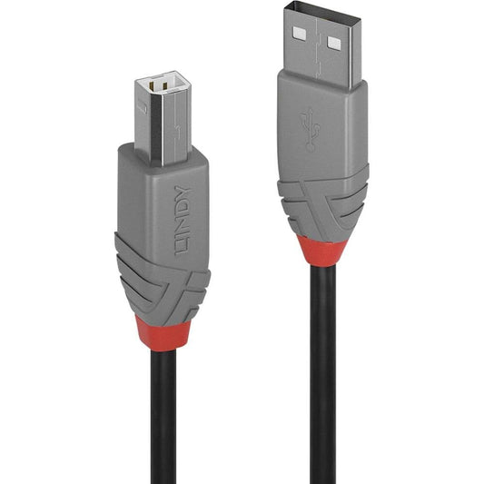 LINDY 3M USB 2.0 TYPE A TO B C