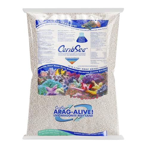 CARIBSEA ARAG-ALIVE! LIVE ARAG