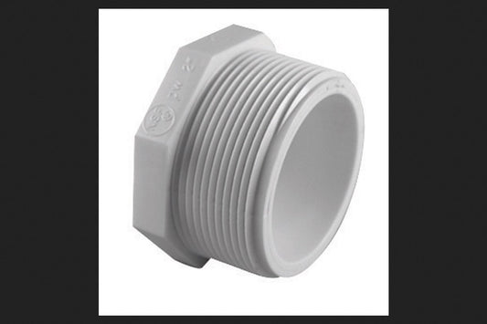 CHARLOTTE PLUG SCH40 PVC 1" MP