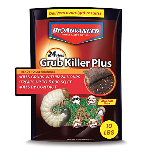 BioAdvanced 24-Hour Grub Killer Plus 10lb