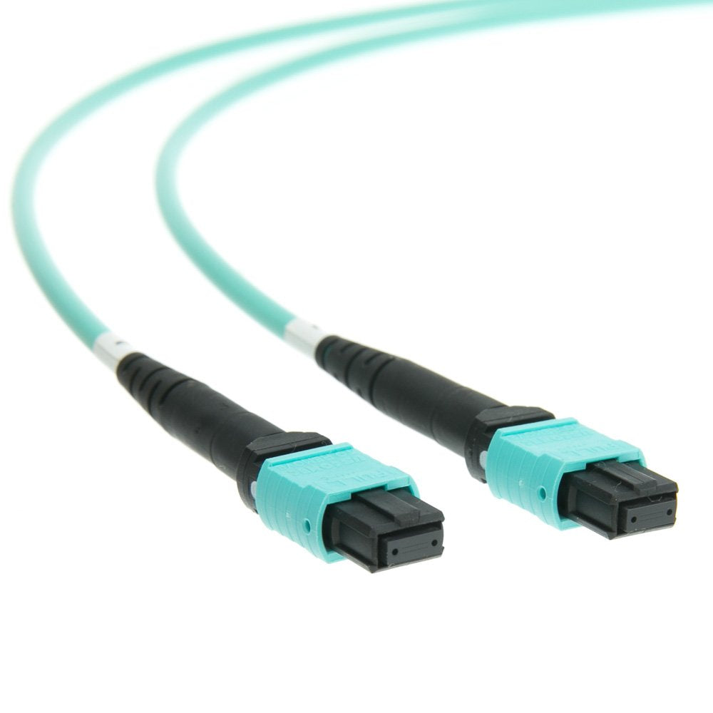 CableWholesale 12-Strand MTP/MPO OM4 Plenum Trunk Cable 1m