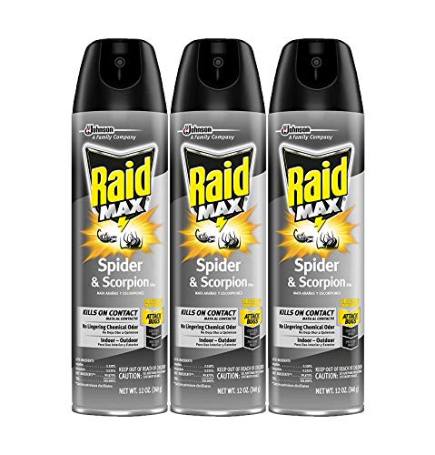 Raid Max Spider & Scorpion Killer, 12 OZ (Pack - 3)