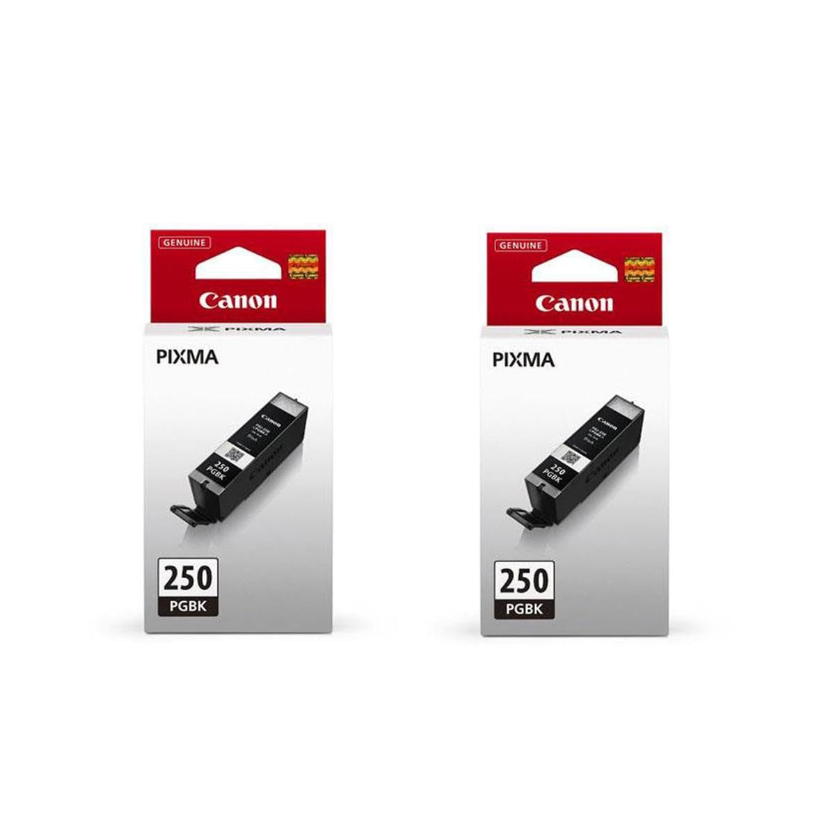 Canon 2 Pack PGI-250 Pigment Black Ink Tank for Select PIXMA IP, iX, MG, MX Series Printers