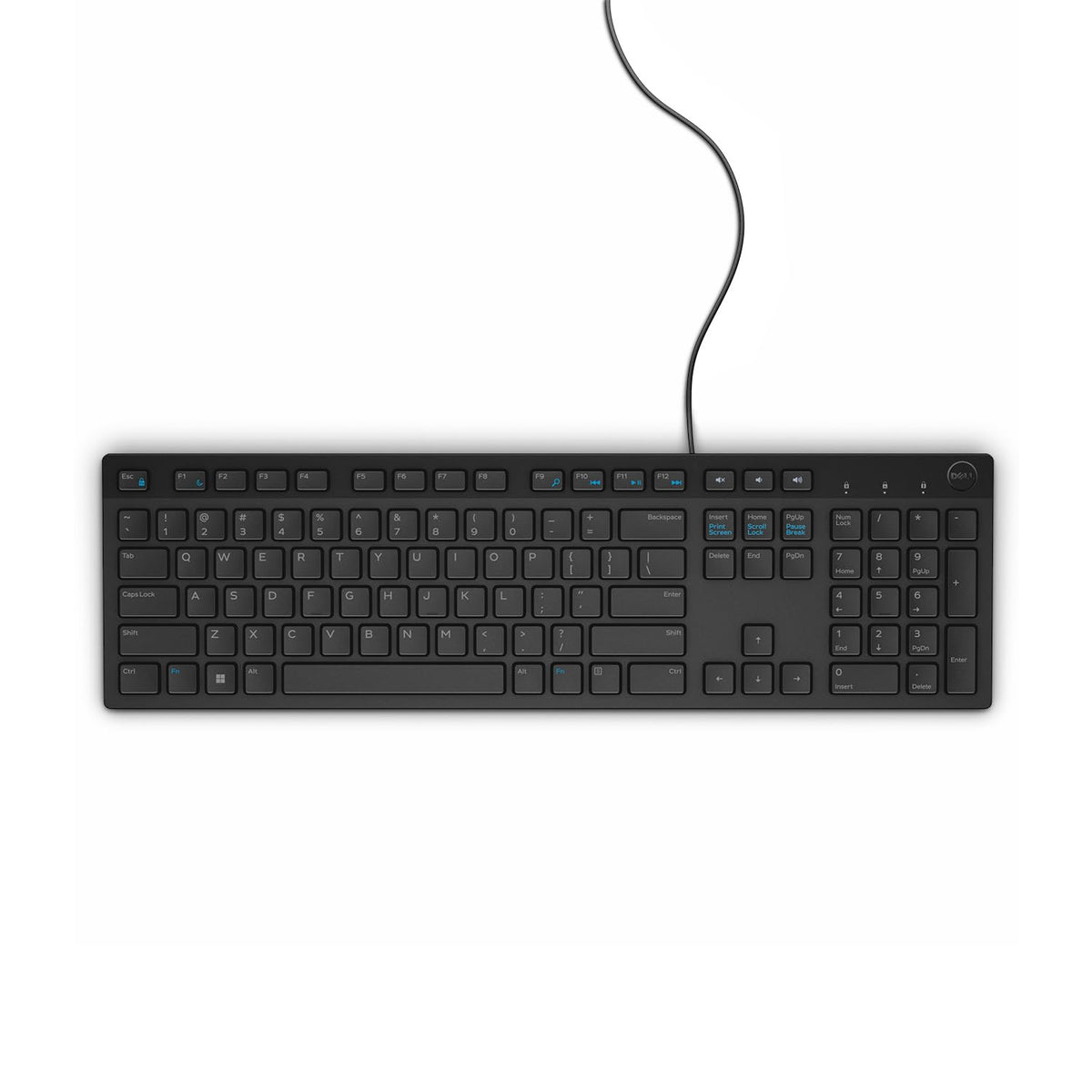 Dell KB216 - Keyboard - USB -