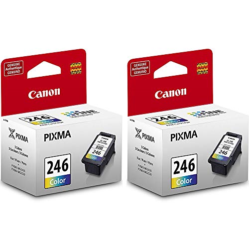 Canon 2 X Cl-246 Color Ink - Cartridge - for Pixma Mg2420-8281B001Aa