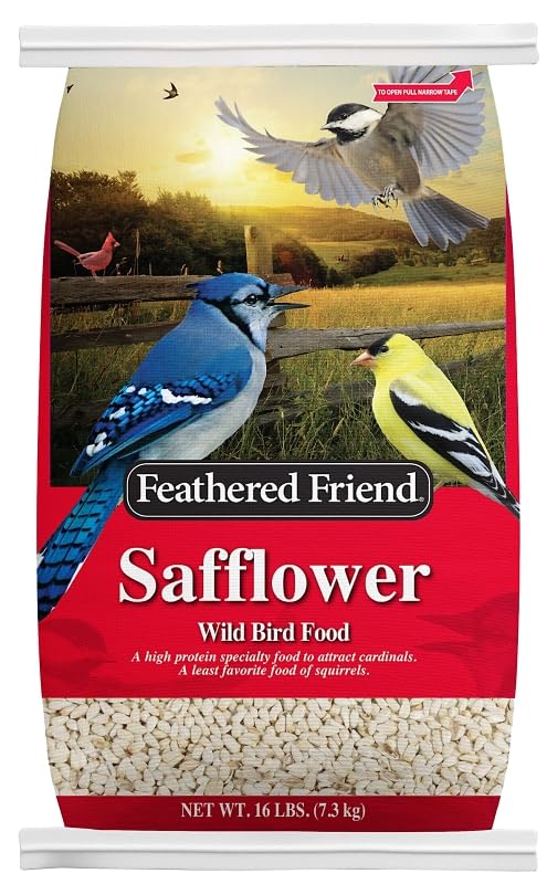 Feathered Friend Safflower Seed 14420/14194