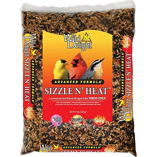 WILD DELIGHT ADVANCED SIZZLE N