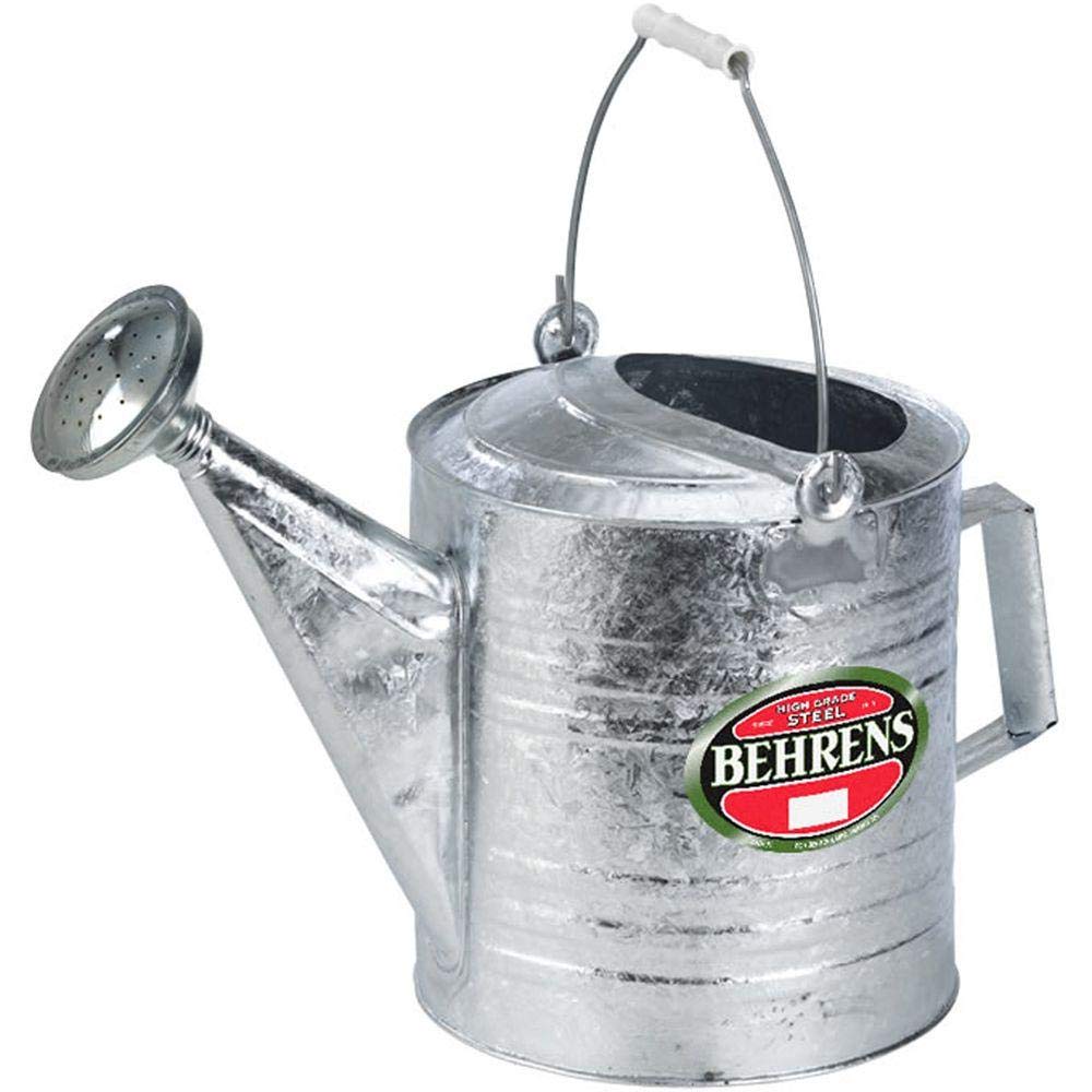 208 2-Gallon Steel Watering Can, Silver 208RH