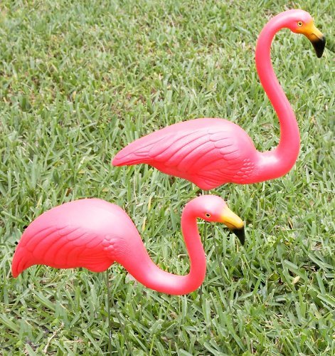 UNION FLAMINGOS PLASTIC DISPLA