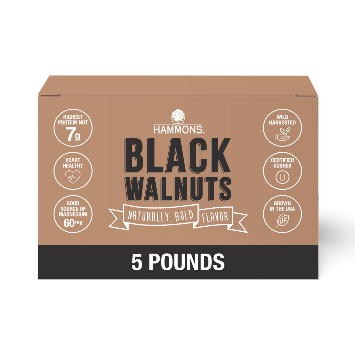 Hammons Fancy Large Black Walnuts 5 lb Box