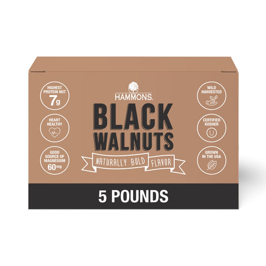 Hammons Fancy Large Black Walnuts 5 lb Box