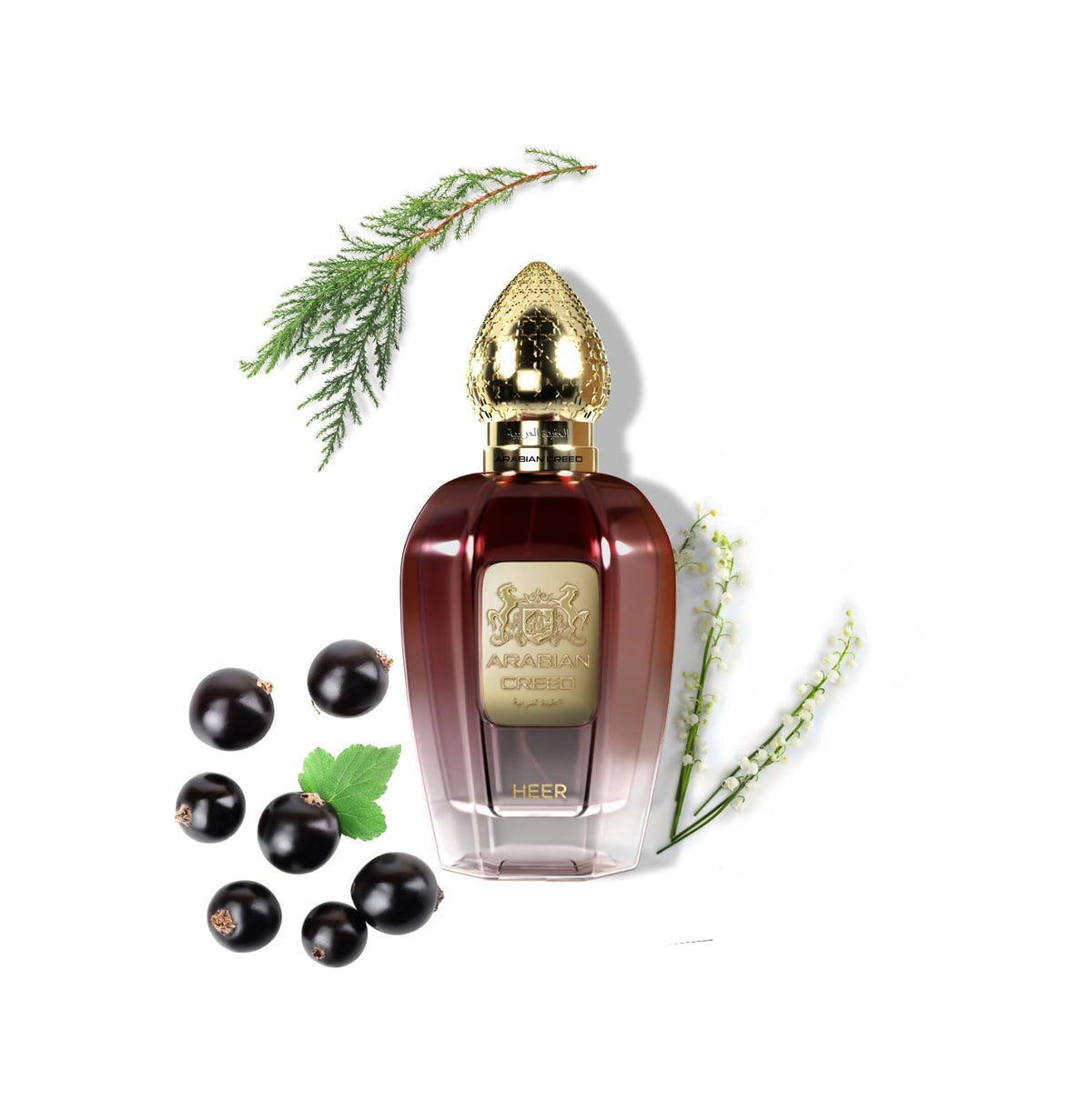 Arabian Crest Dubai Heer Eau de Parfum 100ML - Floral Woody Musk Perfume for Unisex Long-Lasting Romantic Scent with Grapefruit, Cedar, Vegan, Paraben-Free Fragrance From France ?
