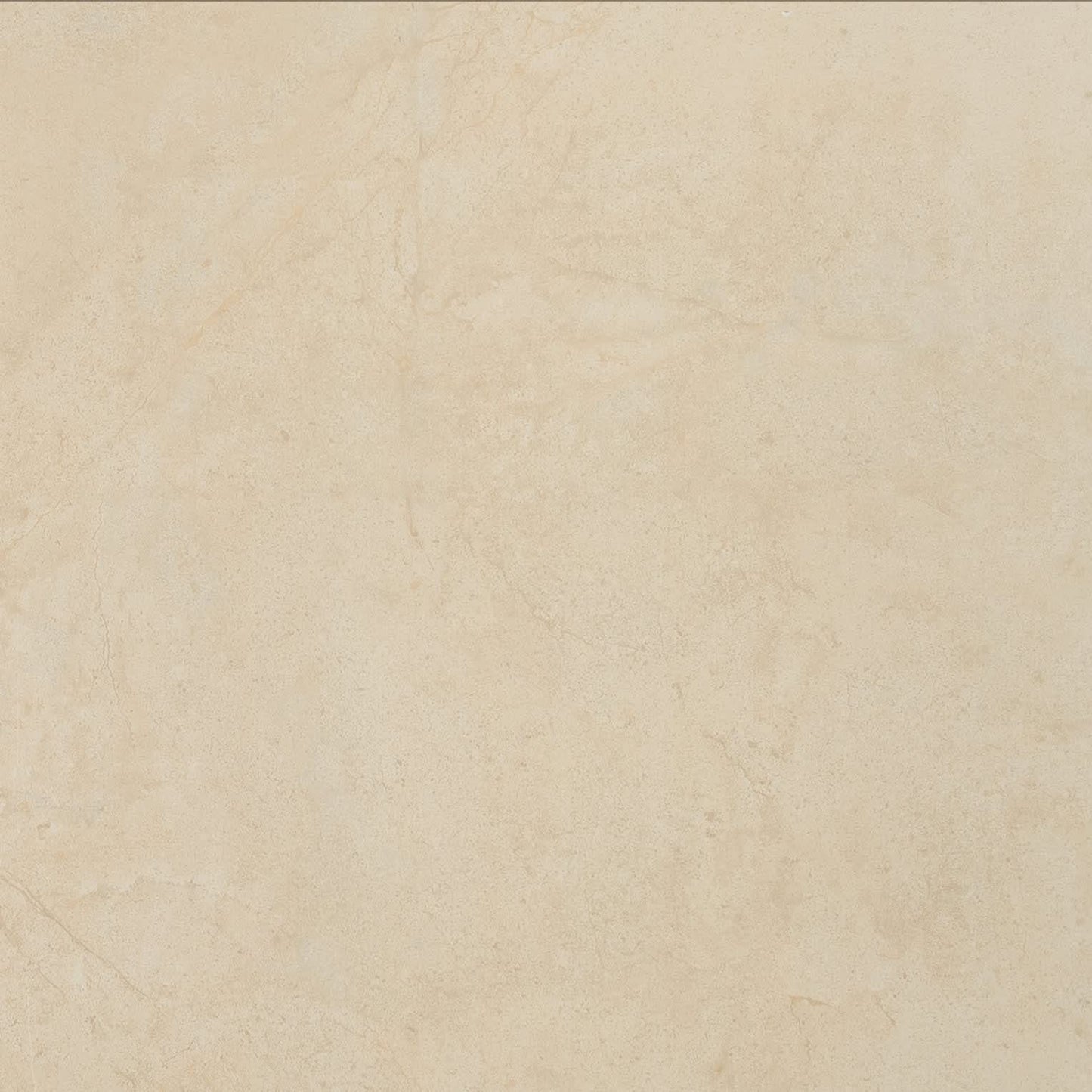 MSI Aria Cremita 24" x 24" Tile
