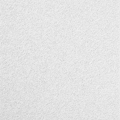 USG Mars Ceiling Panel 2'x2'