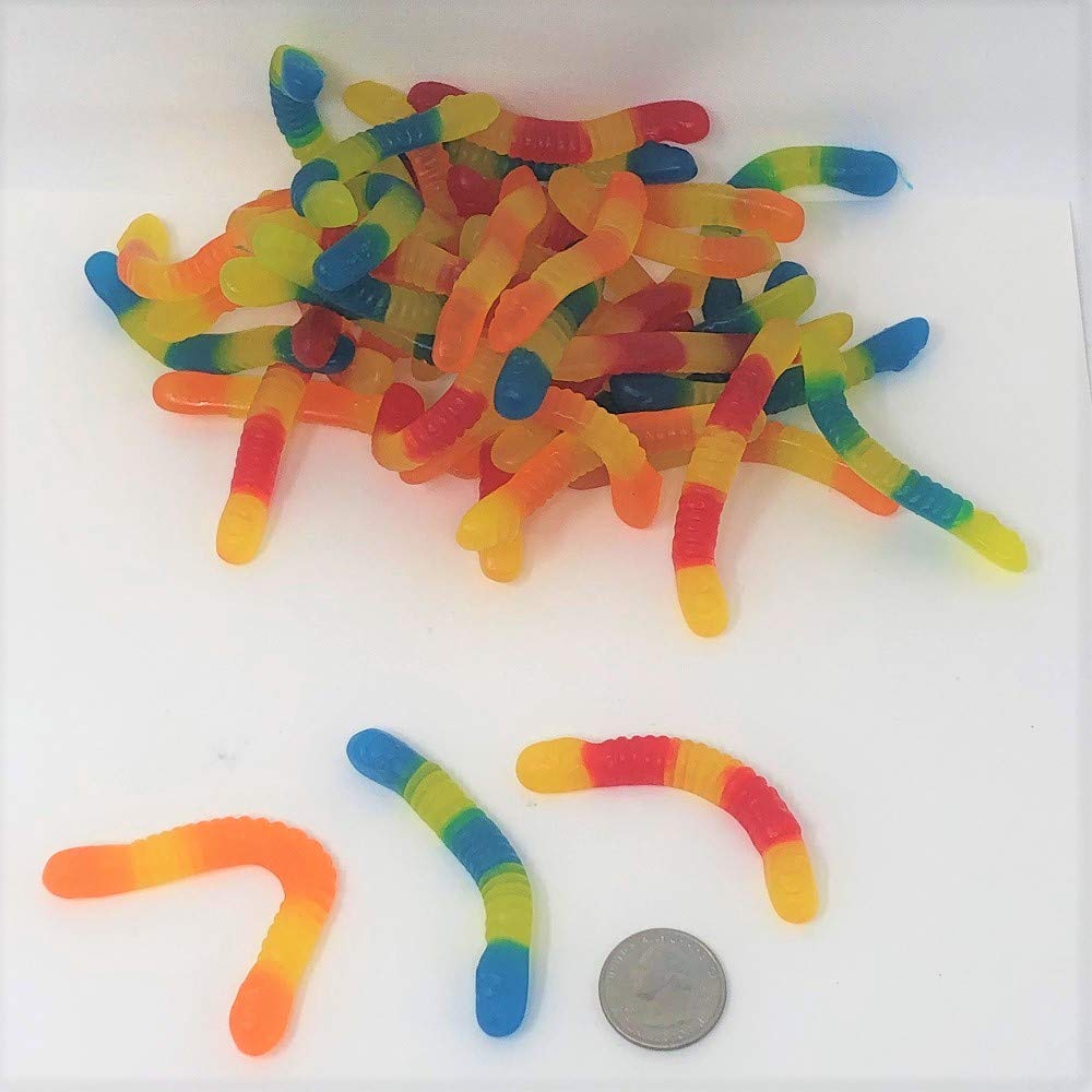 Vidal Sugar Free Worms 2.2lbs