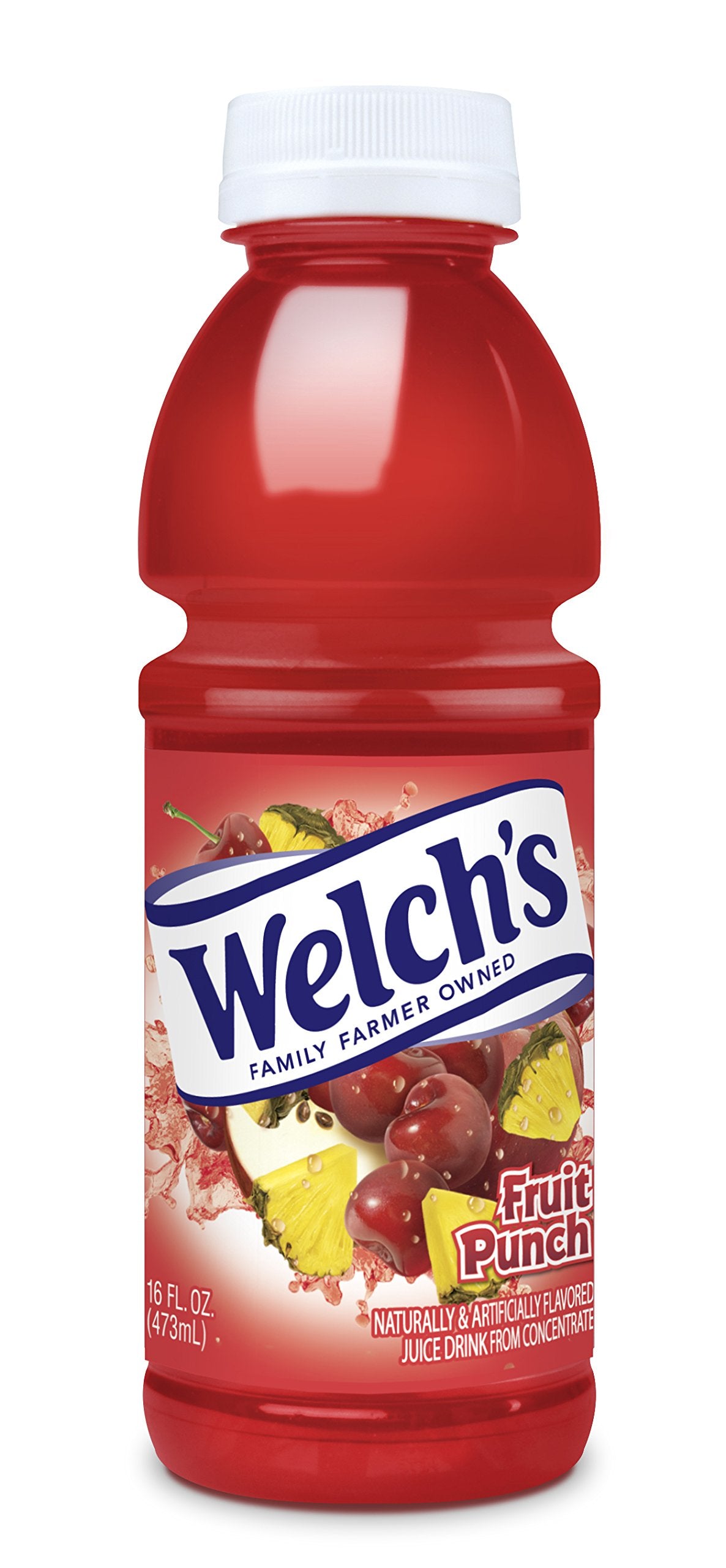 WELCH'S WEL WEL 12/16OZ FRUIT