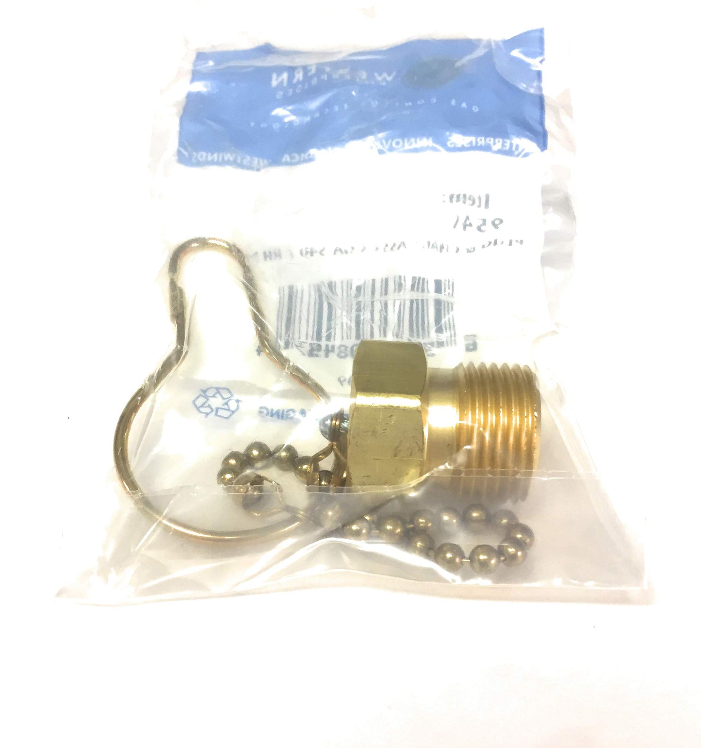 WD Western Plug & Chain Assembly/C