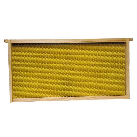 Harvest Lane Honey Deep Frame & Foundation 5 Pack WWFFD-101-5