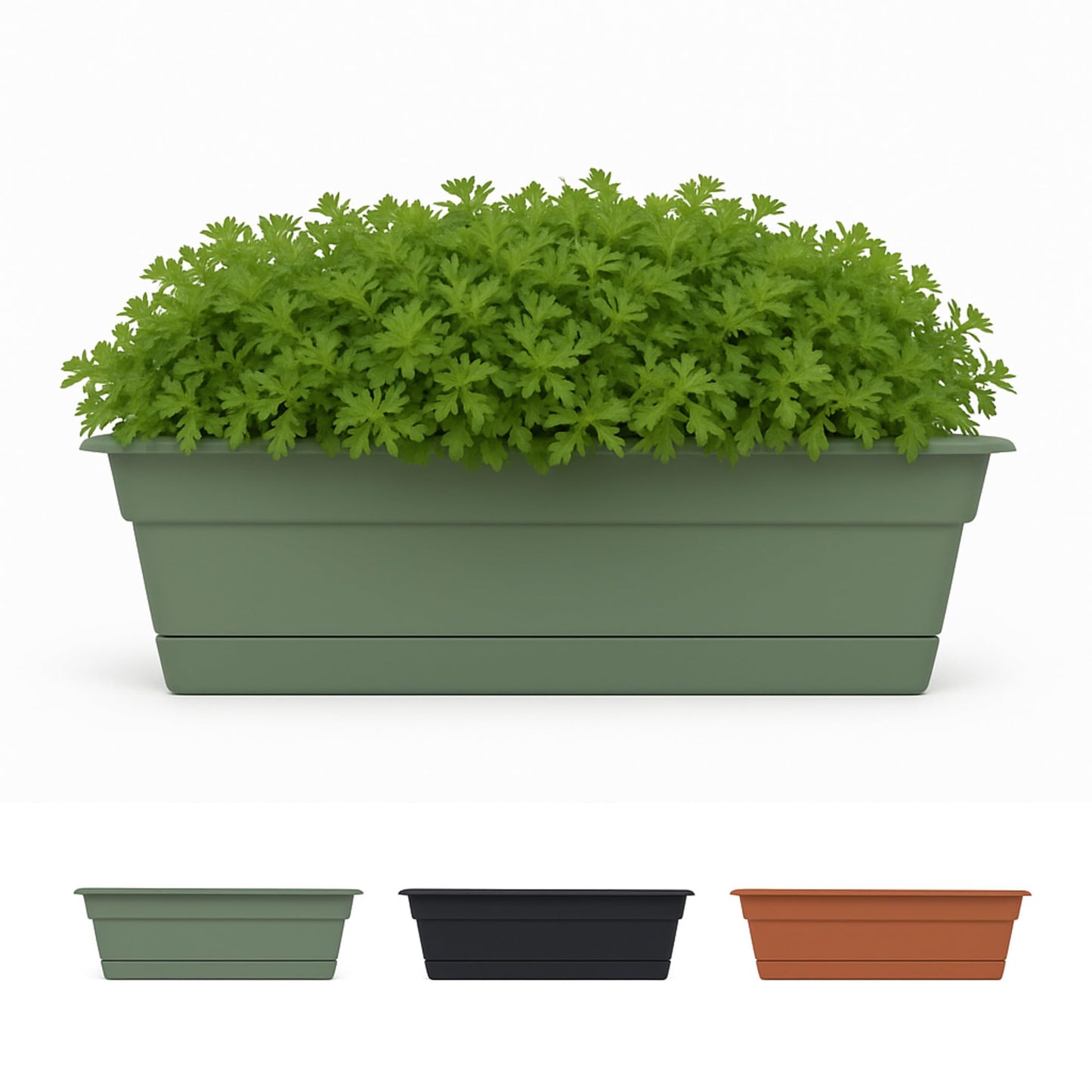 BLOEM WNDW BX PLST BASIL 18"